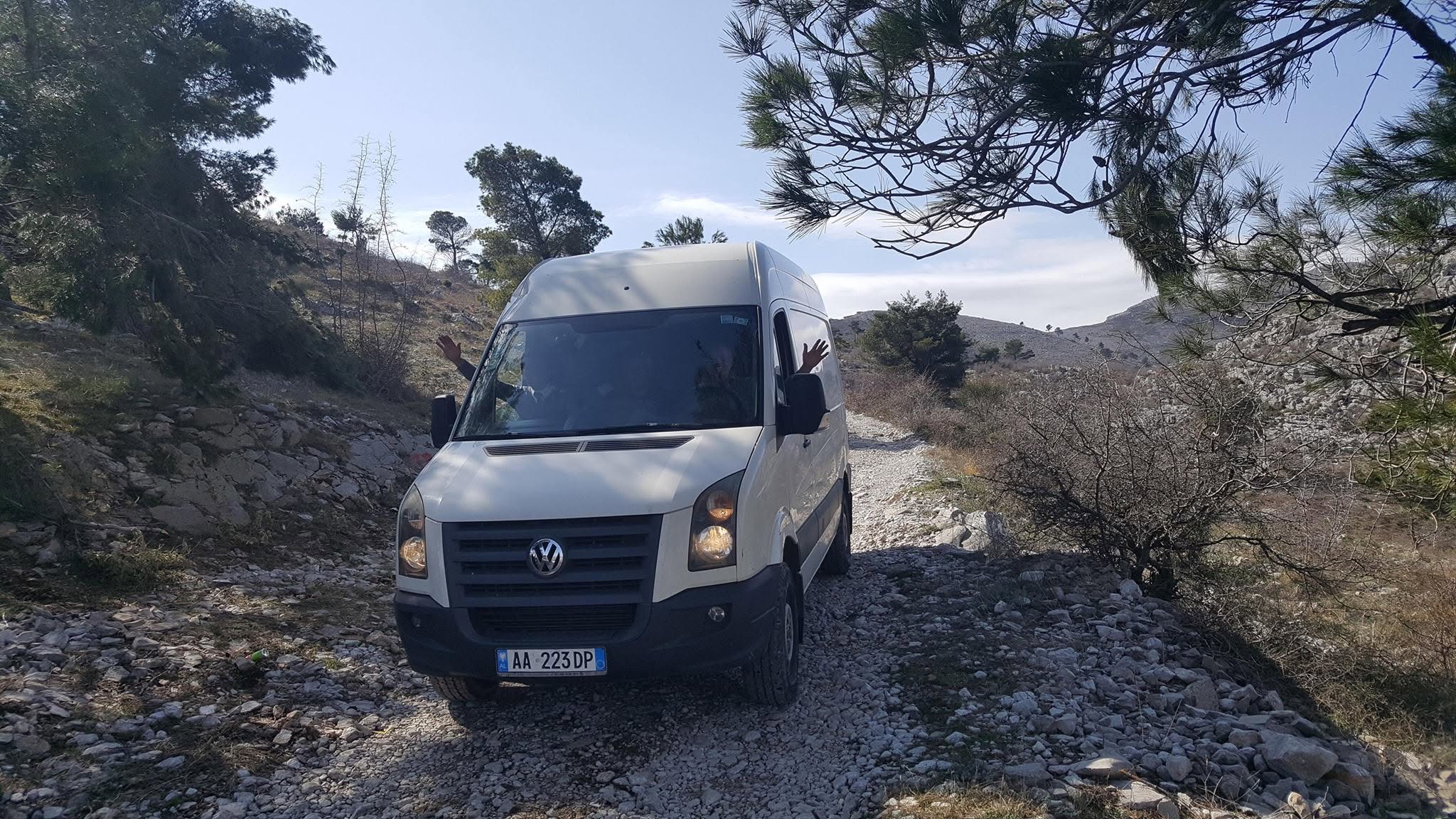 Mbjellja e 60 fidanëve të pishës — mars 2019