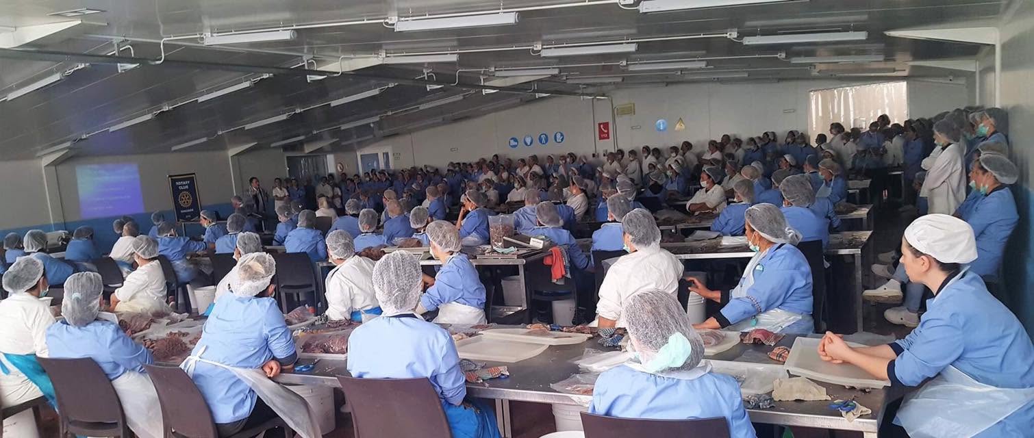 Sesion informimi kundër kancerit të gjirit — Shelqet / Mare Adriatik